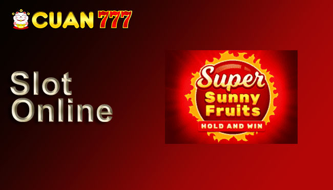Super Sunny Fruits: Hold and Win Playson Slot